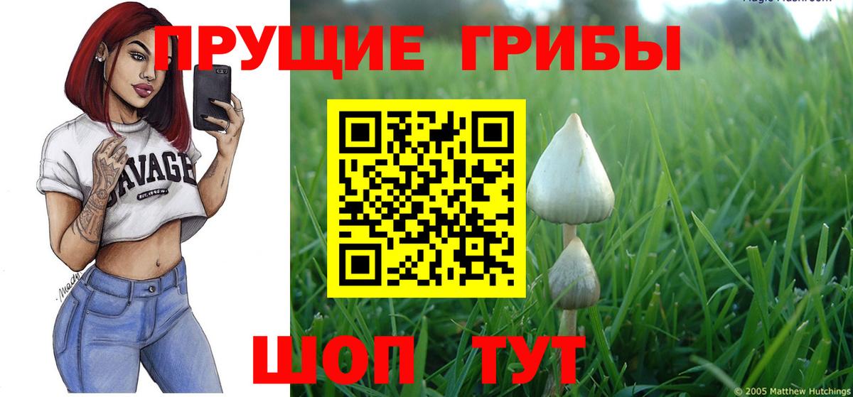 наркошоп  Псилоцибиновые грибы ЛСД  Тольятти  Вход с VPN  Галлюциногенные грибы мицелий 