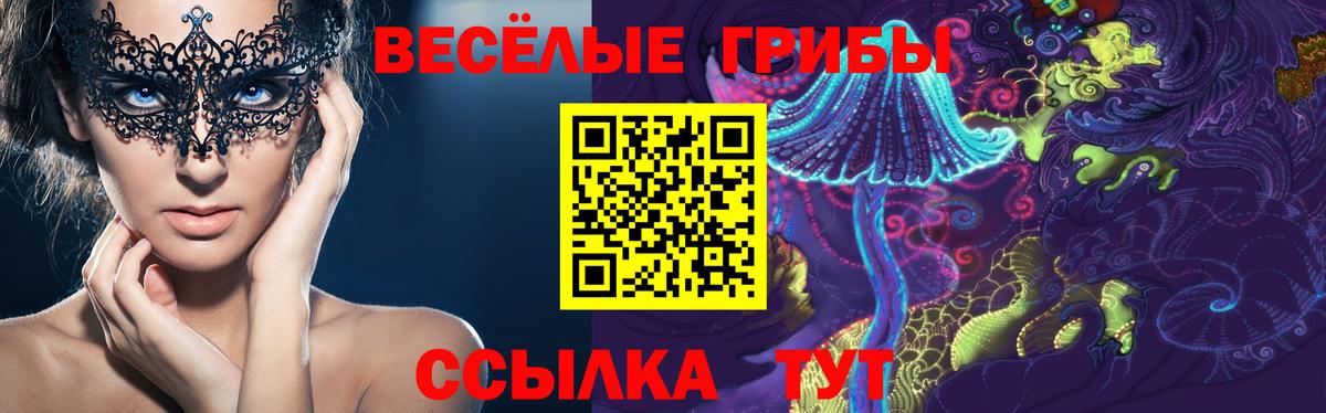 Галлюциногенные грибы Psilocybe Тольятти